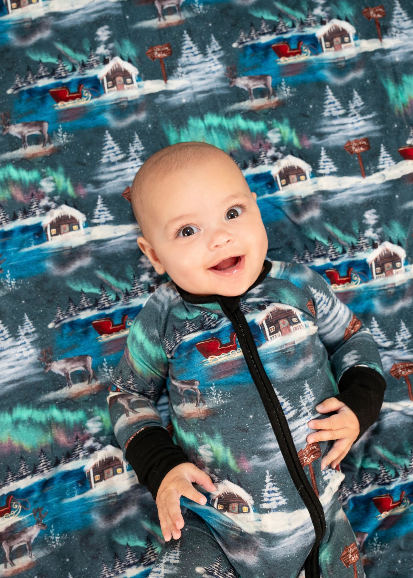 Northern Nights Zippy